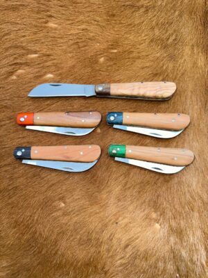 Lot de 5 couteaux de poche manche bois olivier Ref G011 avec gravure prénom