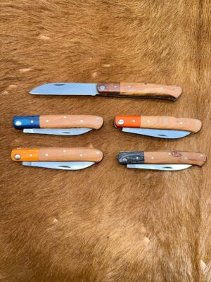 Lot de 5 couteaux de poche manche bois olivier Ref G012 avec gravure prénom