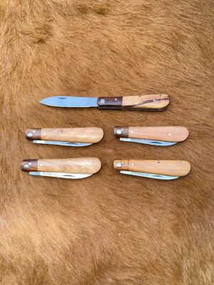 Lot de 5 couteaux de poche manche bois olivier Ref LT29 avec gravure prénom