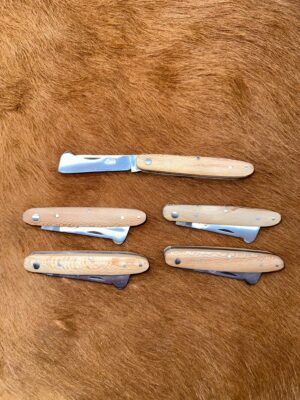 Lot de 5 couteaux de poche manche bois de platane Ref LT47 avec gravure prénom