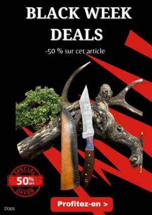 Opération BLACK WEEK -50% sur cet article Magnifique couteau Couteau lame en acier damas 256 couches ref D201
