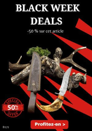 Opération BLACK WEEK -50% sur cet article Couteau Bowie lame acier damas 256couches : pièce unique manche en corne de bélier ref B171