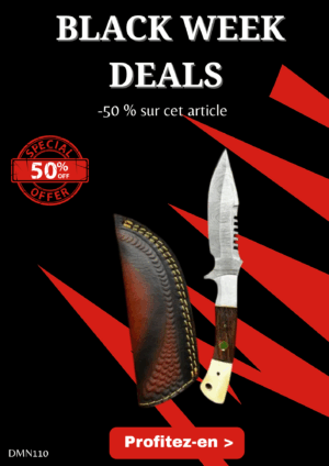 Opération BLACK WEEK -50% sur cet article Magnifique couteau lame en acier damas avec etui en cuir ref DMN110