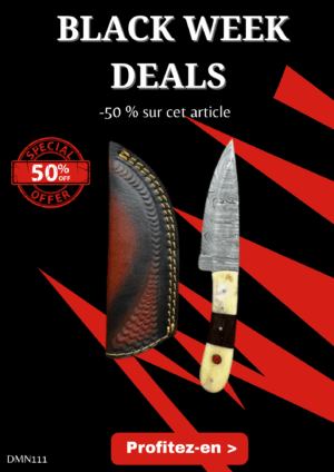 Opération BLACK WEEK -50% sur cet article Magnifique couteau lame en acier 256 couches Ref DMN111