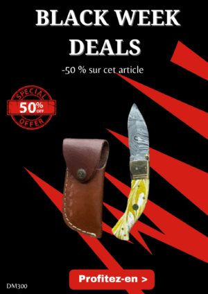 Opération BLACK WEEK -50% sur cet article Magnifique couteau pliant avec lame en acier damas, manche en Micarta ref DM300