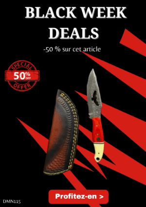 Opération BLACK WEEK -50% sur cet article Magnifique couteau EAGLE lame en acier damas 256 couches avec étui en cuir ref DMN115