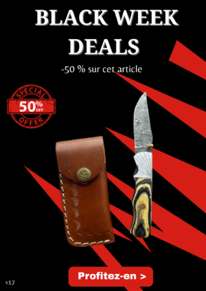 Opération BLACK WEEK -50% sur cet article couteau pliant lame damas 256 couches avec un manche en bois pièce unique ref v17