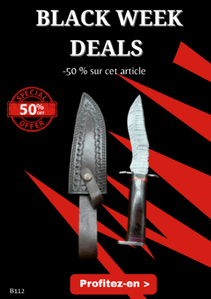 Opération BLACK WEEK -50% sur cet article Bowie lame en acier damas 256 couches manche bois ref B112