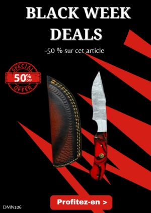Opération BLACK WEEK -50% sur cet article Magnifique couteau lame en acier damas 256 couches manche en Micarta ref DMN106