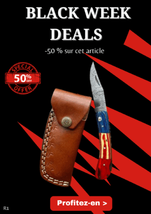 Opération BLACK WEEK -50% sur cet article Couteau lame en acier Damas 256couches avec manche en bois pliant ref R1
