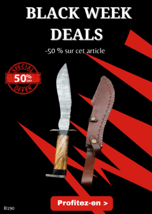 Opération BLACK WEEK -50% sur cet article Magnifique couteau lame acier damas ref B190
