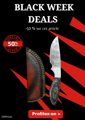 Opération BLACK WEEK -50% sur cet article Magnifique couteau lame en acier damas 256 couches avec un étui en cuir de vache ref DMN103