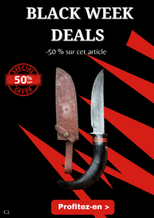 Opération BLACK WEEK -50% sur cet article Couteau Bowie lame acier damas 256couches : pièce unique manche en corne de bélier ref C2