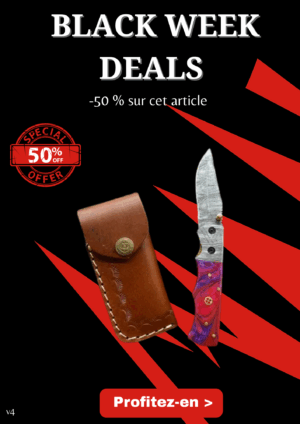 Opération BLACK WEEK -50% sur cet article couteau pliant lame damas 256 couches avec un manche en micarta pièce unique ref v4