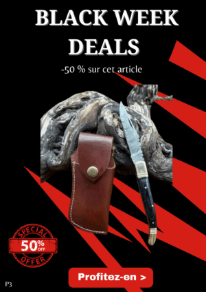 Opération BLACK WEEK -50% sur cet article Magnifique couteau de poche pliant, lame en acier damas 256 couches ref P3