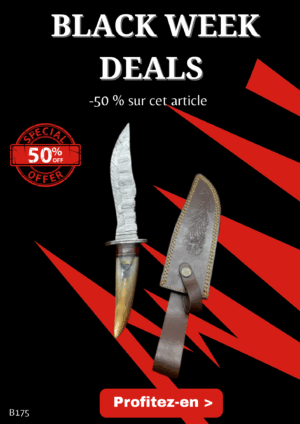 Opération BLACK WEEK -50% sur cet article Magnifique couteau lame acier damas ref B175