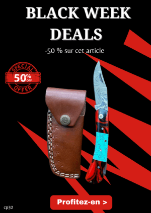 Opération BLACK WEEK -50% sur cet article Couteau lame en acier Damas 256couches pliable avec etui _cp30