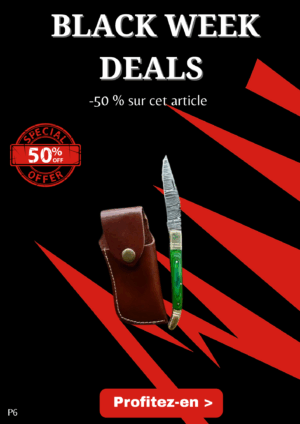 Opération BLACK WEEK -50% sur cet article Magnifique couteau de poche pliant, lame en acier damas 256 couches ref P6
