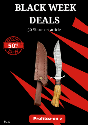 Opération BLACK WEEK -50% sur cet article Bowie de chez RITE EDGE lame en acier Damas 256 couches manche en bois d'olivier ref B232