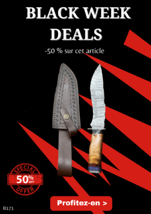Opération BLACK WEEK -50% sur cet article Magnifique couteau lame acier damas ref B173