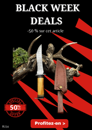 Opération BLACK WEEK -50% sur cet article Bowie de chez RITE EDGE lame en acier Damas 256 couches manche en bois d'olivier ref B234