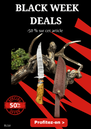 Opération BLACK WEEK -50% sur cet article Bowie de chez RITE EDGE lame en acier Damas 256 couches manche en bois d'olivier ref B230