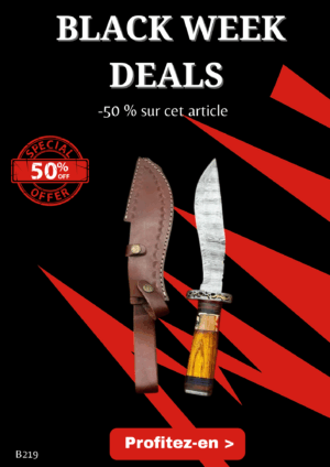Opération BLACK WEEK -50% sur cet article Magnifique couteau de chez RITE EDGE lame en acier damas 256 couches ref B219