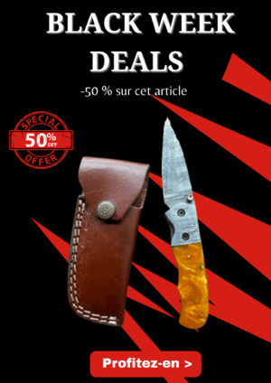 Opération BLACK WEEK -50% sur cet article Magnifique couteau pliant avec lame en acier damas, manche en Micarta ref CPM1