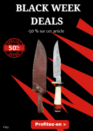 Couteau Bowie lame acier damas 256couches : pièce unique manche en os véritable artisanal ref O43