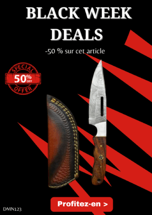 Opération BLACK WEEK -50% sur cet article Magnifique couteau lame en acier damas 256 couches manche en noyer Ref DMN123