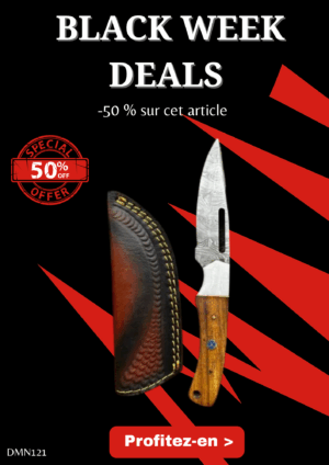 Opération BLACK WEEK -50% sur cet article Magnifique couteau lame en acier damas 256 couches manche en Noyer Ref DMN121