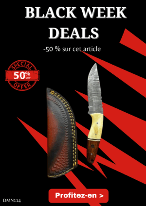 Opération BLACK WEEK -50% sur cet article Magnifique couteau lame en acier damas 256 couches avec étui en cuir ref DMN114