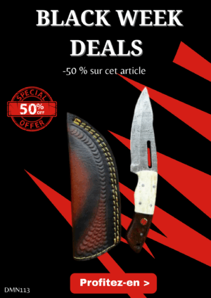 Opération BLACK WEEK -50% sur cet article Magnifique couteau lame en acier damas 256 couches avec un étui en cuire ref DMN113