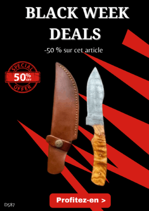Opération BLACK WEEK -50% sur cet article Couteau lame en acier Damas 256couches avec manche en bois __u3 D587