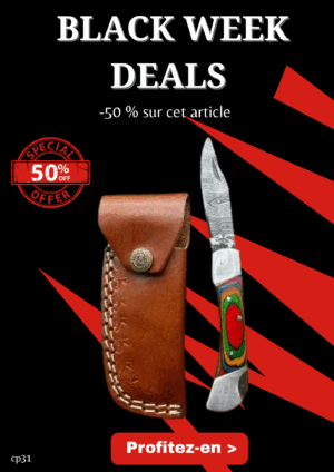 Opération BLACK WEEK -50% sur cet article Couteau lame en acier Damas 256couches pliable_cp31