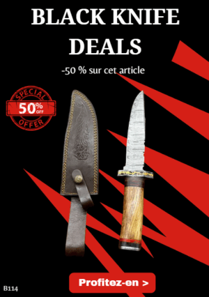 Opération BLACK WEEK -50% sur cet article Bowie lame en acier damas 256 couches manche bois ref B114