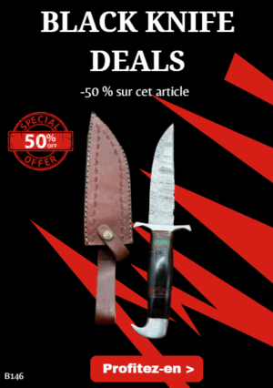 Opération BLACK WEEK -50% sur cet article Bowie lame en acier damas 256 couches manche en corne ref B146