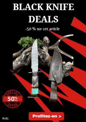 Opération BLACK WEEK -50% sur cet articleMagnifique couteau lame acier damas ref B183