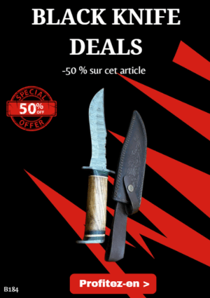 Opération BLACK WEEK -50% sur cet article Magnifique couteau lame acier damas ref B184