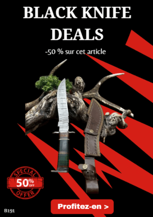 Opération BLACK WEEK -50% sur cet article Magnifique couteau lame acier damas ref B191