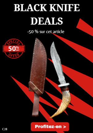 Opération BLACK WEEK -50% sur cet article Couteau Bowie lame acier damas 256couches : pièce unique manche en corne de bélier ref C28