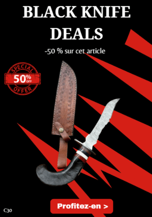 Couteau Bowie lame acier damas 256couches : pièce unique manche en corne de bélier ref C30