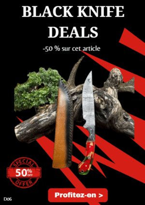 Opération BLACK WEEK -50% sur cet article Magnifique couteau Couteau lame en acier damas 256 couches ref D06