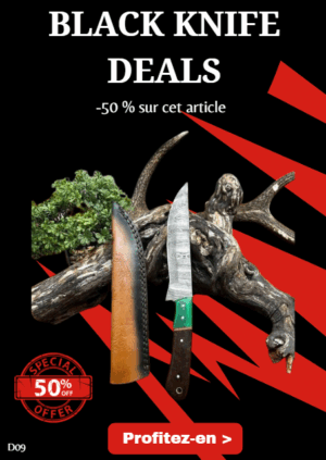 Opération BLACK WEEK -50% sur cet article Magnifique couteau Couteau lame en acier damas 256 couches ref D09