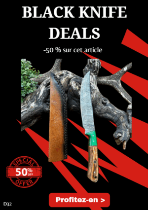 Opération BLACK WEEK -50% sur cet article Lot de 2 couteaux lame fixe Damas 256 couches en bois coloré et en noyer ref D32