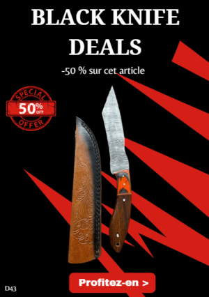 Opération BLACK WEEK -50% sur cet article Couteau lame fixe Damas 256 couches manche en noyer ref D43