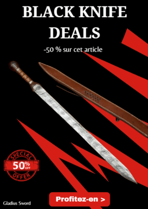 Opération BLACK WEEK -50% sur cet article Damascus Gladius Sword - Épée Romaine damas de gladiateurs - 512 couches_ER