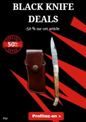 Opération BLACK WEEK -50% sur cet article Magnifique couteau de poche pliant, lame en acier damas 256 couches ref P10