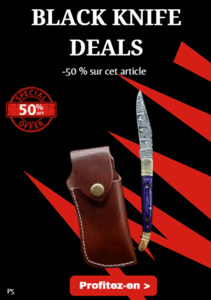 Opération BLACK WEEK -50% sur cet article Magnifique couteau de poche pliant, lame en acier damas 256 couches ref P5