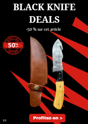 Opération BLACK WEEK -50% sur cet article Couteau a dépecer lame en acier Damas 256couches avec manche en bois__u2